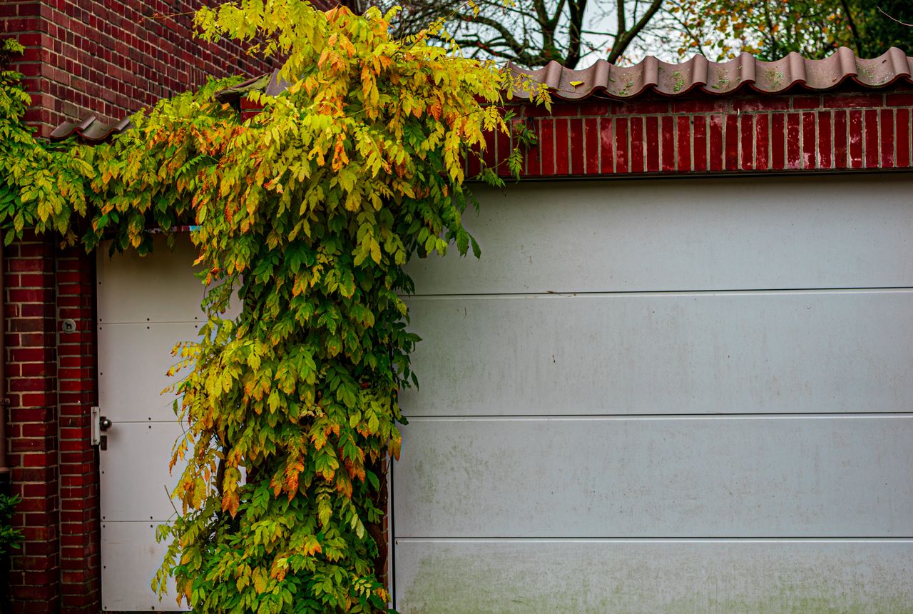 Garage door service in Gainesville, GA